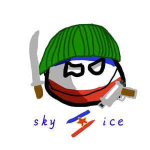 skyice头像