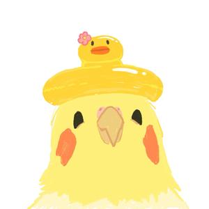 呆呆鸟头像