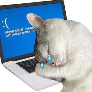 Mengxin头像