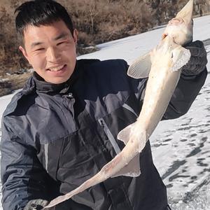 趣钓鱼亮哥头像