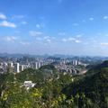 咖啡兔兔在吃糖头像