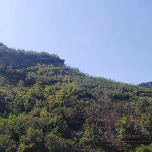 用户2081586257310头像