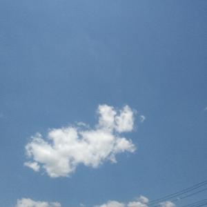 冯唐李广的EDU头像