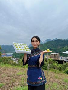 贵州醉美布依人电子商务有限公司头像