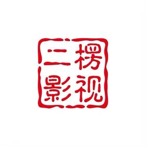 二楞视频头像