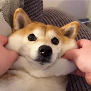 Patience影视头像
