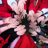 才思敏捷沈瑞雪头像