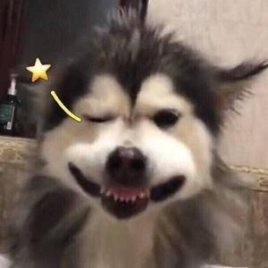 搞笑女孩的一天天头像