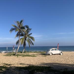 海南人阿文头像