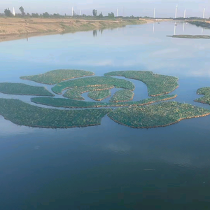 河北朗润生态浮岛头像