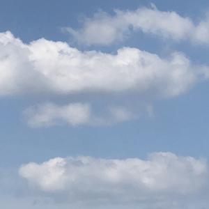 CR1205头像