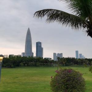 深圳海蓝头像