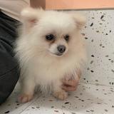 晓儿爱追剧呀头像