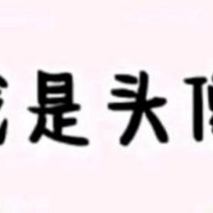 林478头像