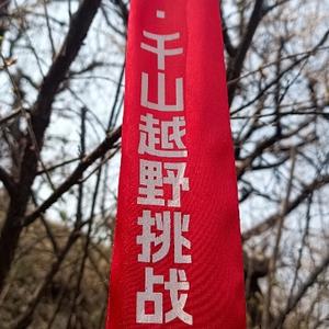 不懂跑步的李师傅头像