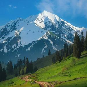 山山而川头像