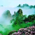 前面是大海头像