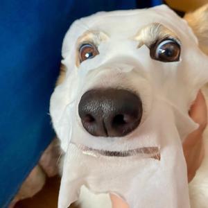 弥生说故事的个人主页 西瓜视频