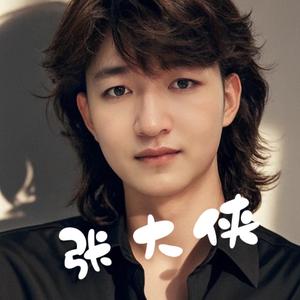 乡村张大侠⁹¹³头像