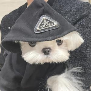失约头像