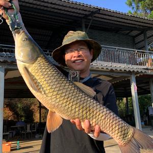 钓鱼曾某人头像