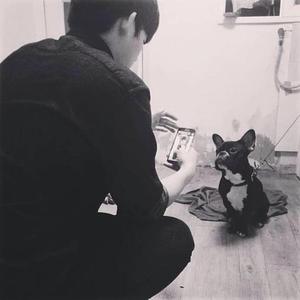 茶烟起竹头像