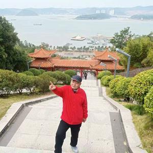 老杨的养生退休生活头像