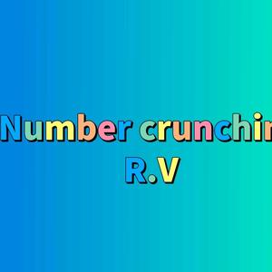 NumbercrunchingRV头像