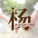 潮流达人新乐9H头像