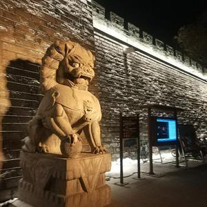 番茄93048908004头像