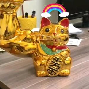 哦给哦豁头像