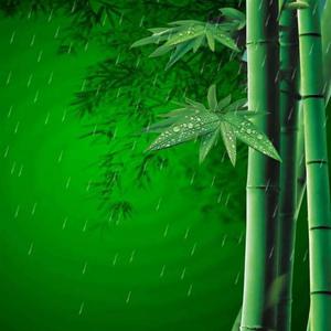 雨竹轻舞飞扬头像