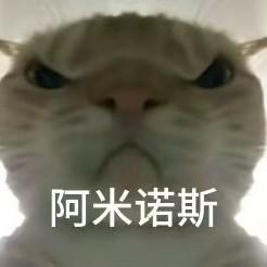 随机游戏玩家 头像