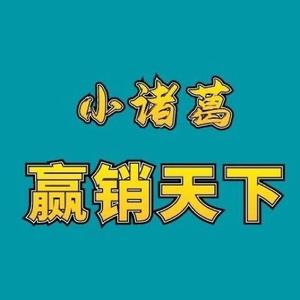 小诸葛赢销天下头像