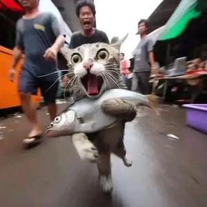 七八九头像