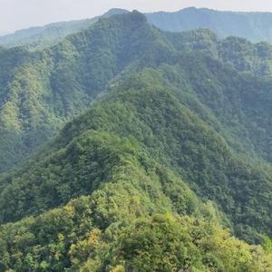 呱呱果果小荣子头像