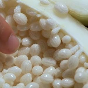 青木瓜影音头像