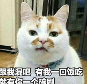 周大大头像