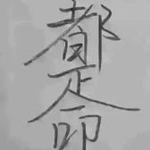 实在飞机4C5D头像