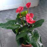 哥关注了你头像