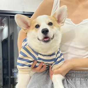 口哨不是吹的头像