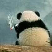 糊糊涂涂吖头像