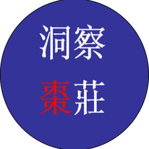 洞察棗莊头像