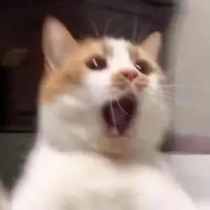 记得要早睡早起了头像