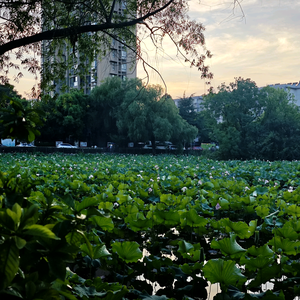 爱抓鱼的我头像