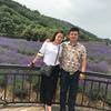 乐昌夫妇头像