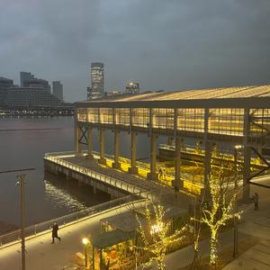 城市耕新头像