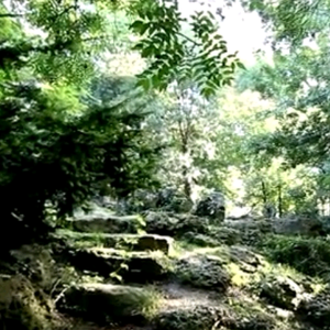 静谧山林头像