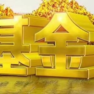 yang姐头像