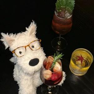 Gentle头像